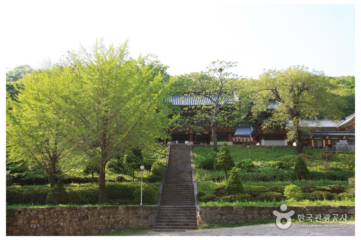 칠불사(하동) 여행 추천 - 메고지고