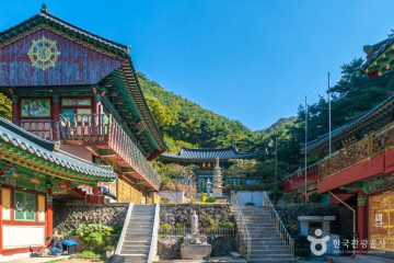도림사(대구) 여행 추천 - 메고지고