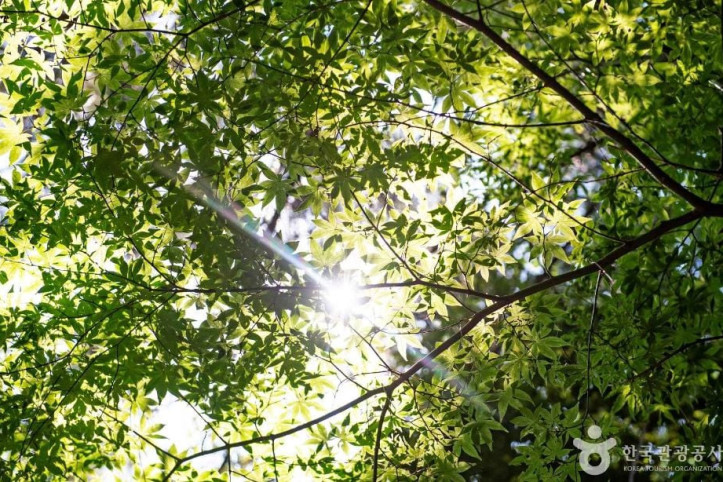 구덕문화공원 여행 추천 - 메고지고