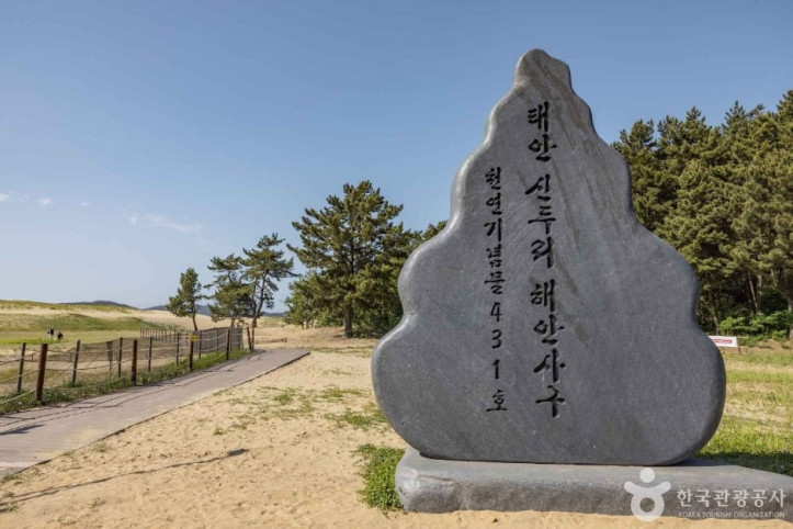 신두사구 쉼터공원 (신두사구 생태공원) 여행 추천 - 메고지고