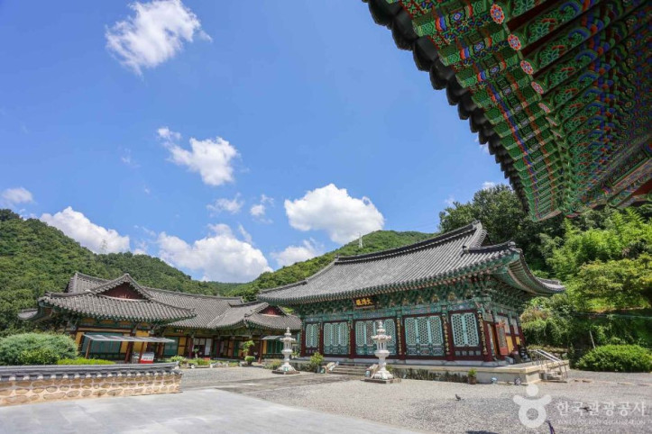 신광사(광주) 여행 추천 - 메고지고