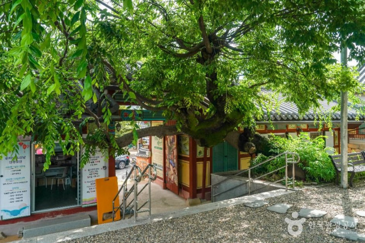 제석사(경산) 여행 추천 - 메고지고