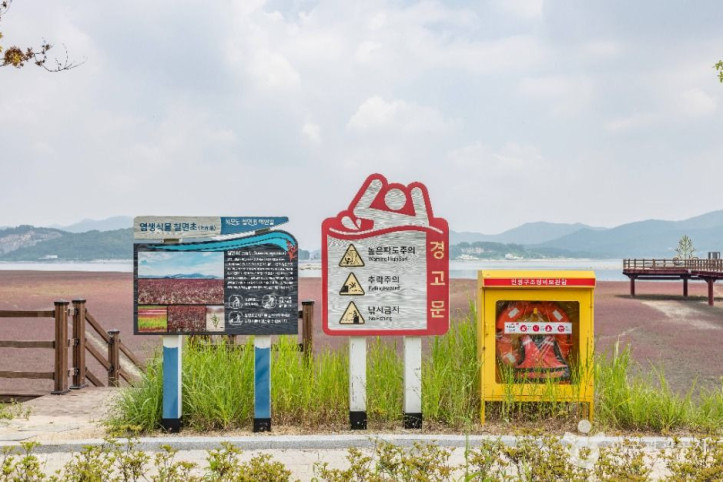 석모도 칠면초 군락지 여행 추천 - 메고지고