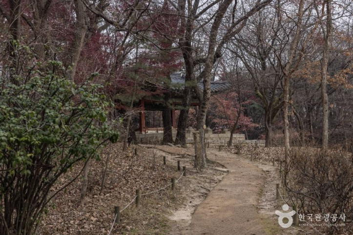 창경궁 대온실 여행 추천 - 메고지고