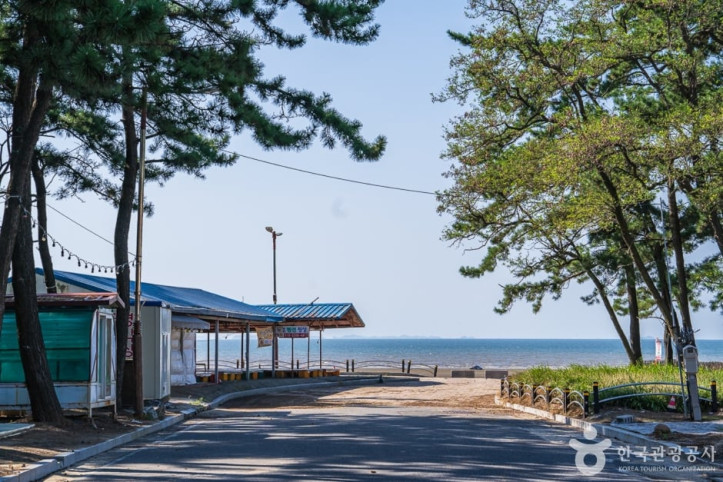 춘장대해수욕장 여행 추천 - 메고지고