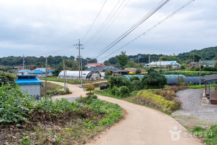 충남 서산빛들마을 여행 추천 - 메고지고