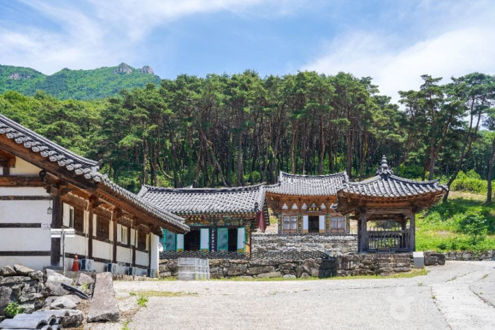 비슬산 유가사 여행 추천 - 메고지고