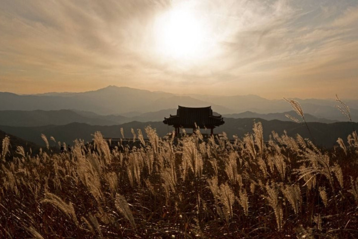 황매산(산청) 여행 추천 - 메고지고