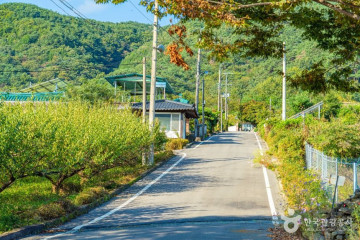 백암동천 여행 추천 - 메고지고