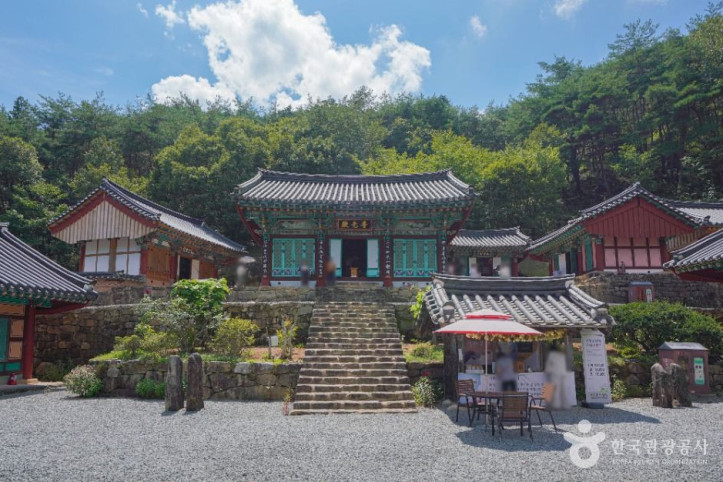 도림사(곡성) 여행 추천 - 메고지고