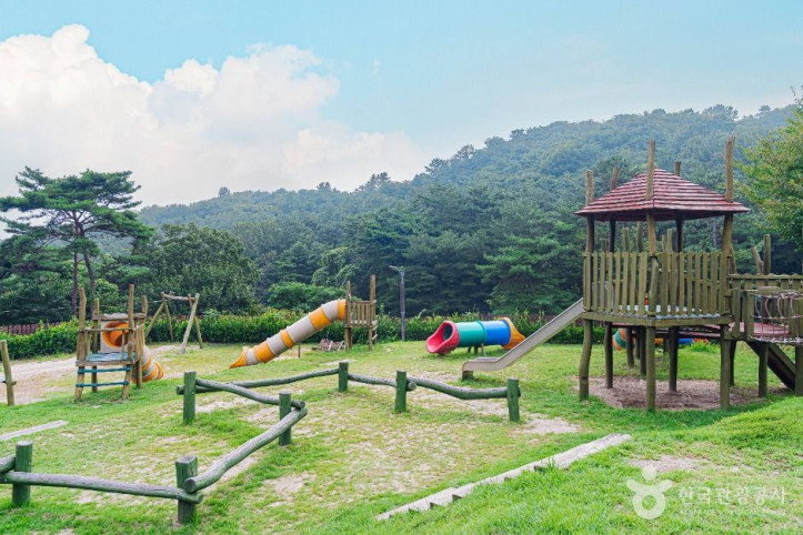 금성산생태숲 여행 추천 - 메고지고