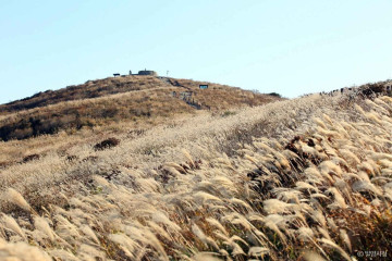 밀양 도래재 자연휴양림 여행 추천 - 메고지고
