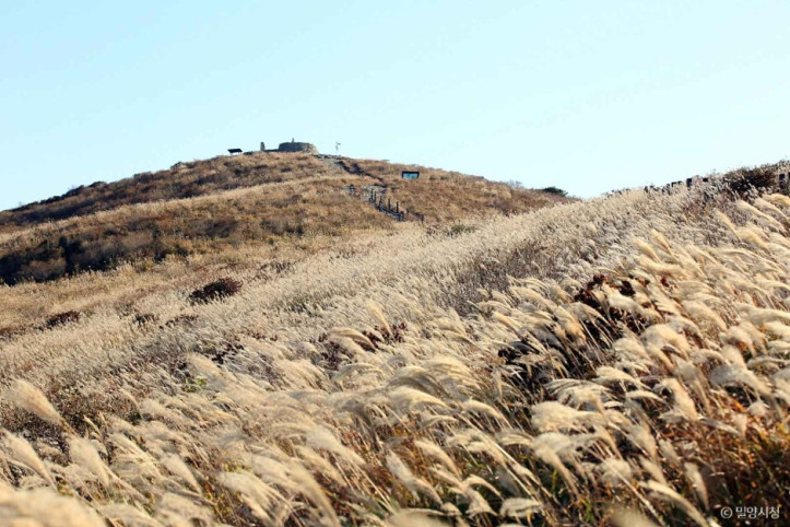 천황산 여행 추천 - 메고지고