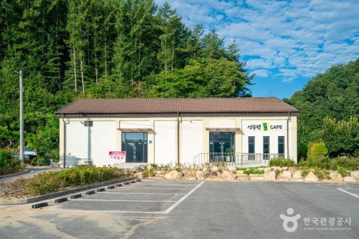 예천 천향리 석송령 여행 추천 - 메고지고