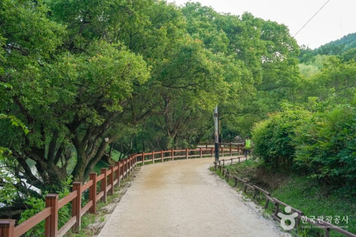 진해내수면 환경생태공원 여행 추천 - 메고지고