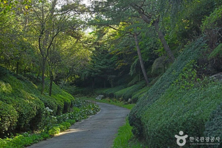 척야산 문화수목원 여행 추천 - 메고지고