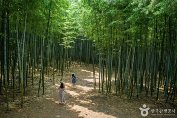 곰내연밭 여행 추천 - 메고지고