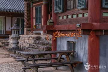 용담호 여행 추천 - 메고지고