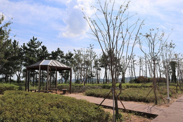 방아머리해변 여행 추천 - 메고지고