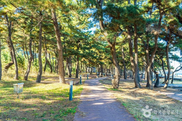 기성망양해수욕장 여행 추천 - 메고지고