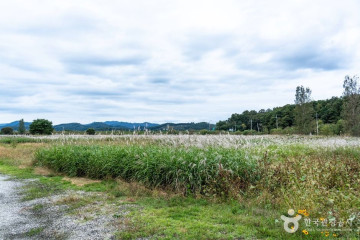 부산각서석 여행 추천 - 메고지고