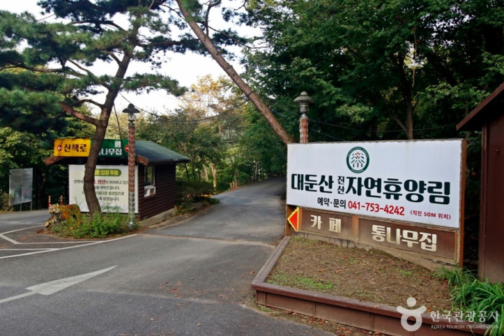 대둔산자연휴양림 여행 추천 - 메고지고