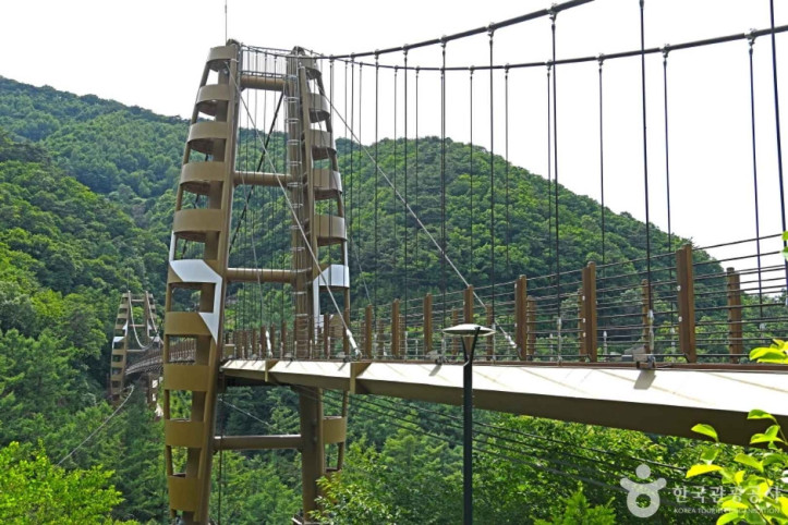 증평 좌구산 명상구름다리 여행 추천 - 메고지고