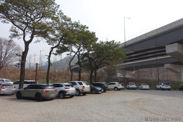 삼막애견공원 여행 추천 - 메고지고