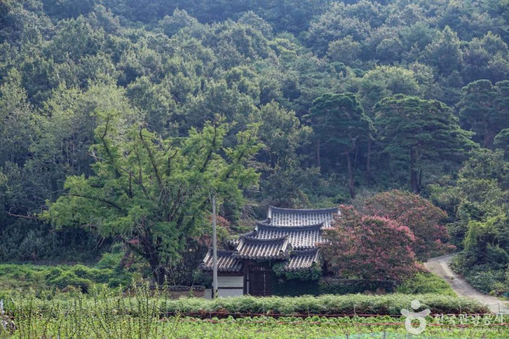의양서원 여행 추천 - 메고지고
