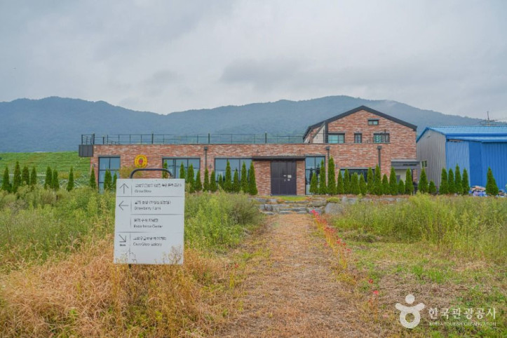 보성싱싱농원 여행 추천 - 메고지고