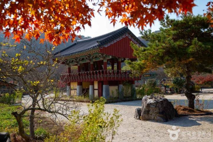 보림사(장흥) 여행 추천 - 메고지고
