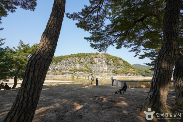 만송정 숲 여행 추천 - 메고지고