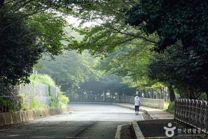 장승포 해안일주도로 여행 추천 - 메고지고