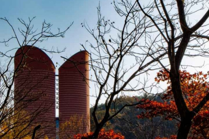 남양성모성지 여행 추천 - 메고지고