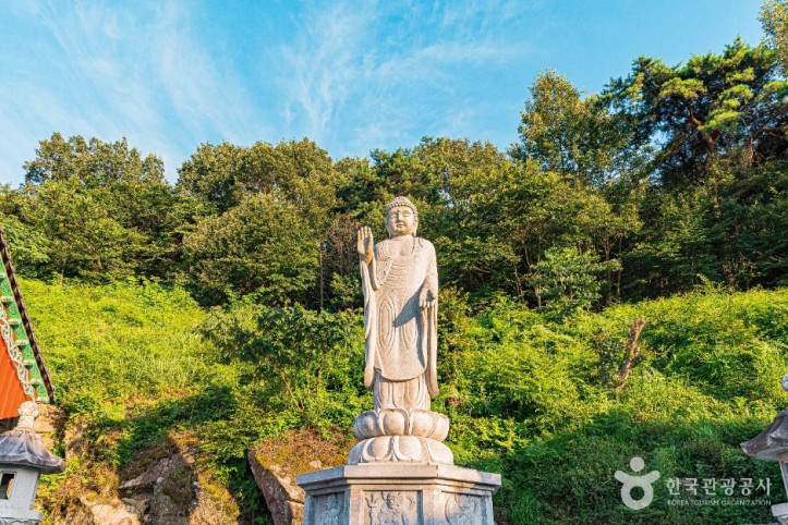 정토사(정읍) 여행 추천 - 메고지고
