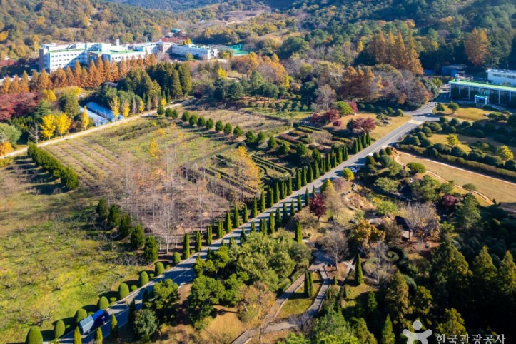 전라남도 산림연구원 여행 추천 - 메고지고