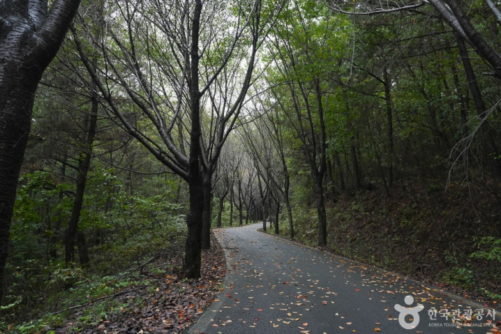 가제산 여행 추천 - 메고지고