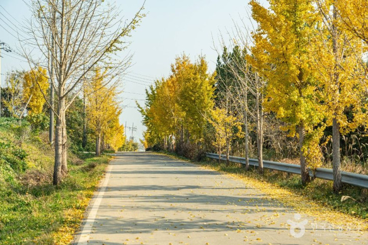 산이반도 여행 추천 - 메고지고