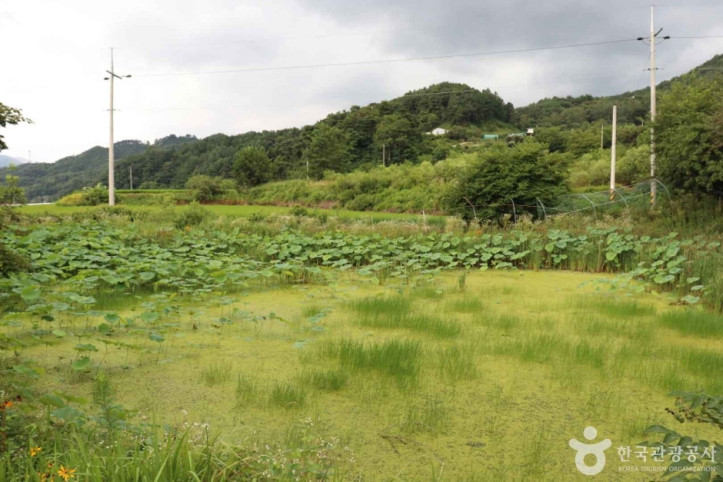 지리산 애완곤충농원 여행 추천 - 메고지고