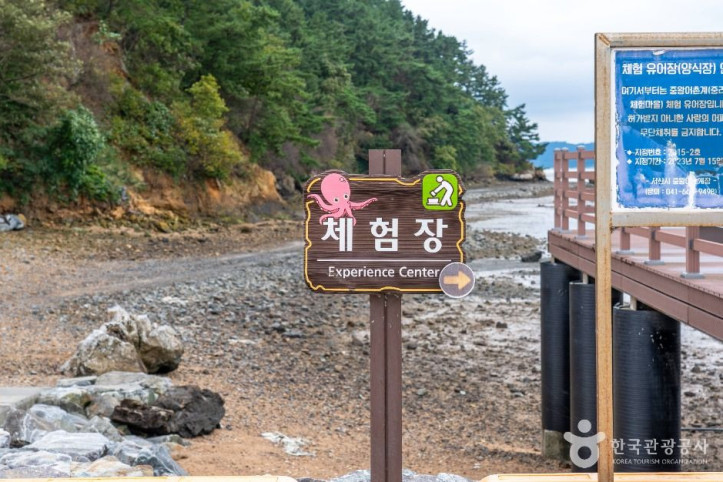 중리어촌체험마을 여행 추천 - 메고지고