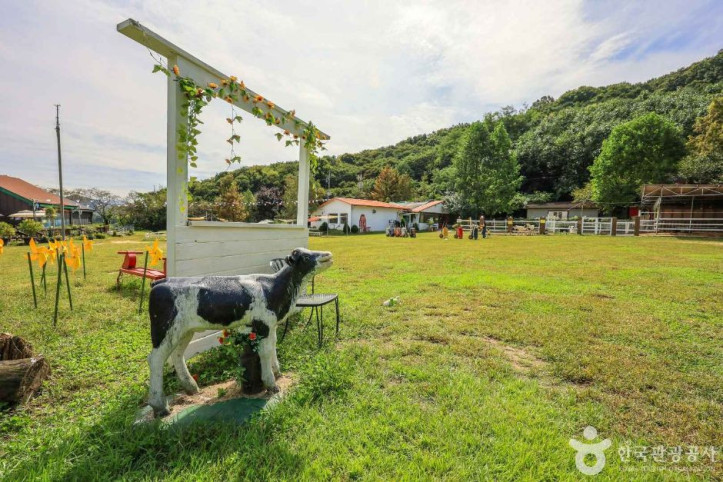 은아목장 여행 추천 - 메고지고
