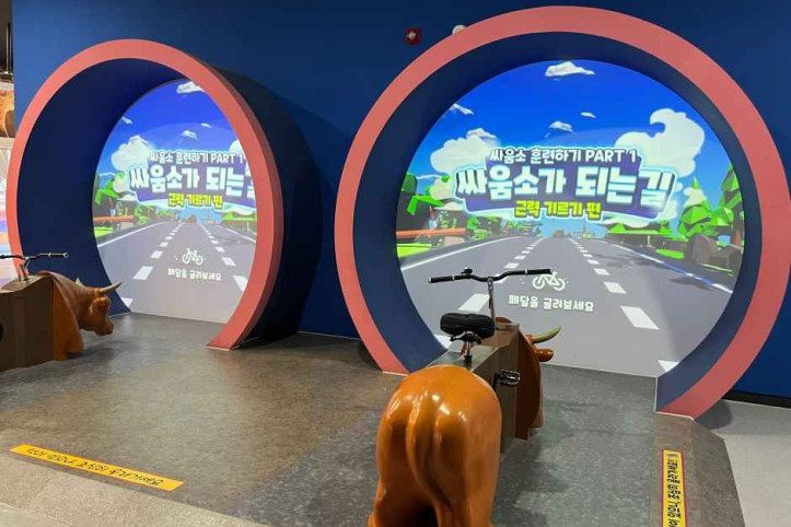 청도소싸움미디어체험관 여행 추천 - 메고지고
