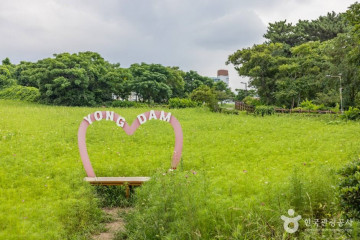 전농로 벚꽃거리 여행 추천 - 메고지고