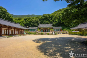 백양산 웰빙숲 여행 추천 - 메고지고