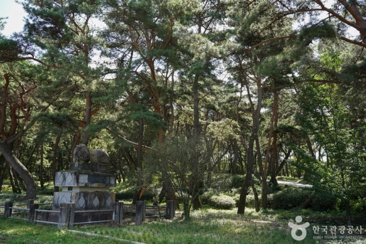 곰내미체험마을 여행 추천 - 메고지고
