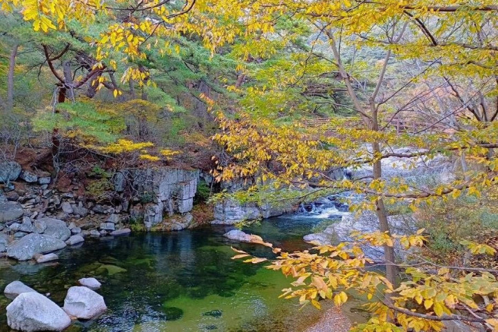 가야산 소리길 여행 추천 - 메고지고