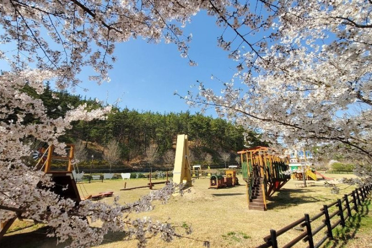 운주산승마자연휴양림 여행 추천 - 메고지고