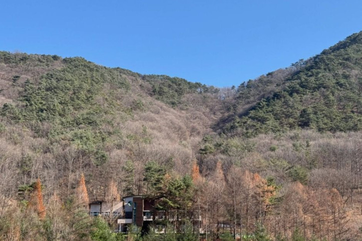 충북알프스자연휴양림 여행 추천 - 메고지고