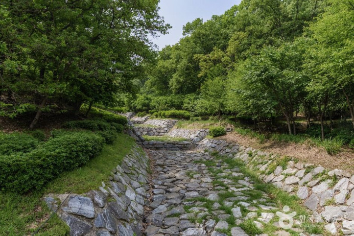 우면산자연생태공원 여행 추천 - 메고지고