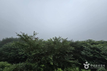 1100도로 여행 추천 - 메고지고